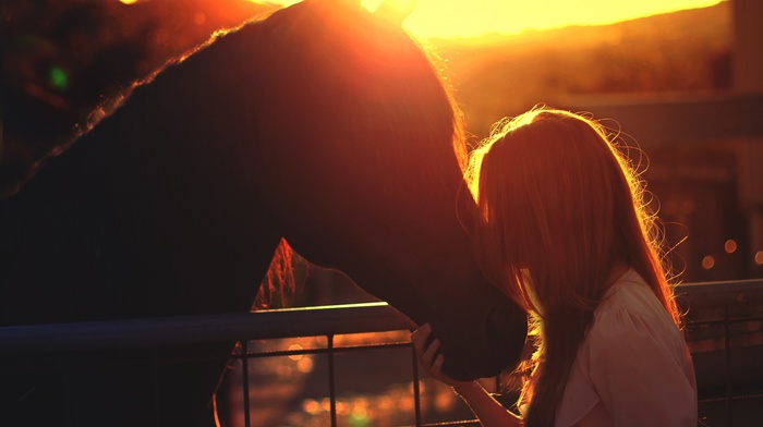 girl outdoors, girl, Golden Hour, silhouette, horse, fence, model