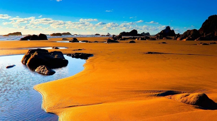 landscape, nature, sand, water