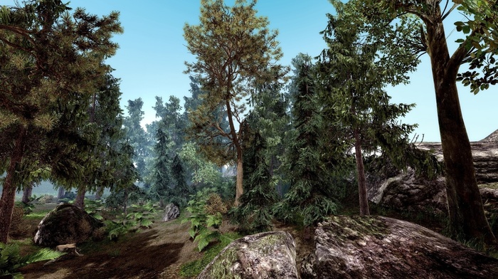 3D, forest, rock, stones, trees