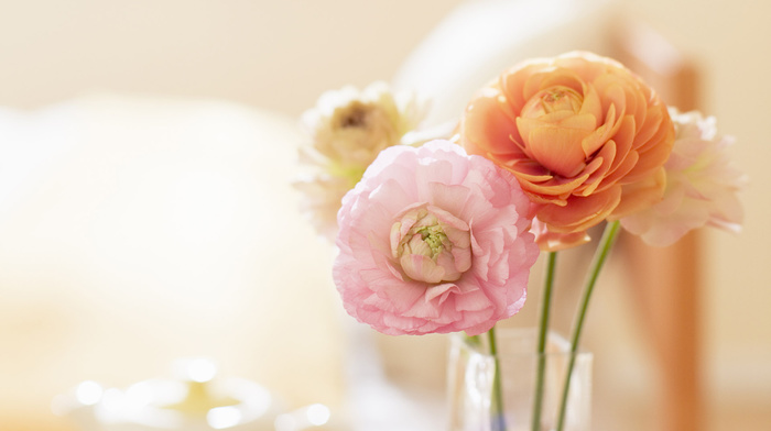 spring, tenderness, mood, wallpaper, vase, flowers, bouquet