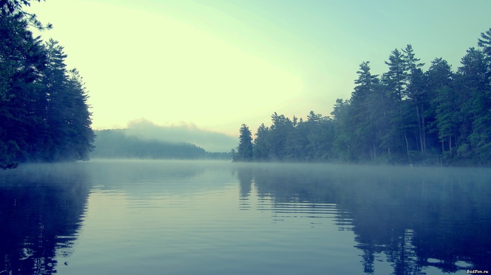 lake, forest, mist