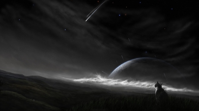 stars, planet, sky, night, animals