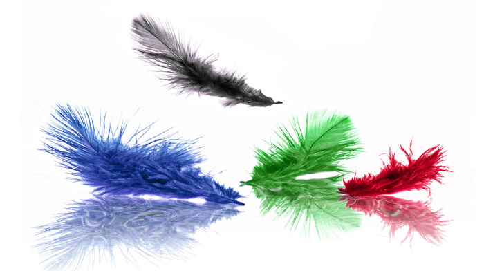 feathers, color, black, green, blue, red, minimalism