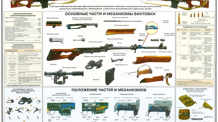 gun