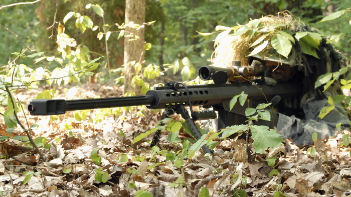 gun, forest