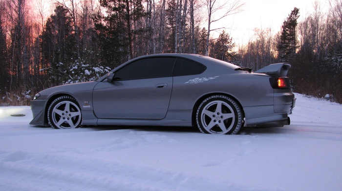 car, forest, cars