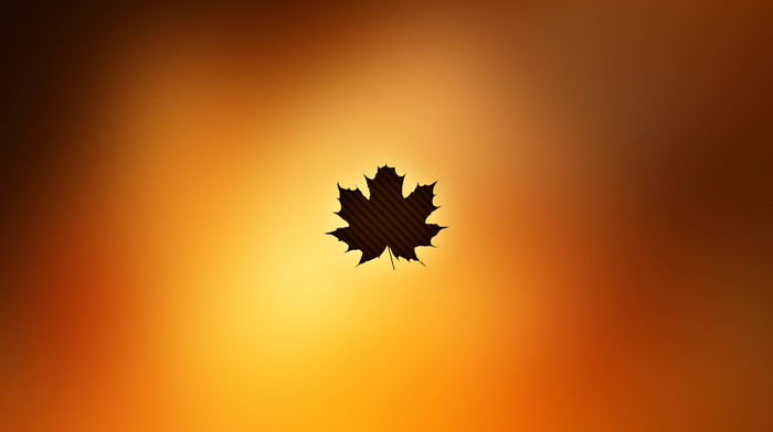minimalism, autumn, leaf