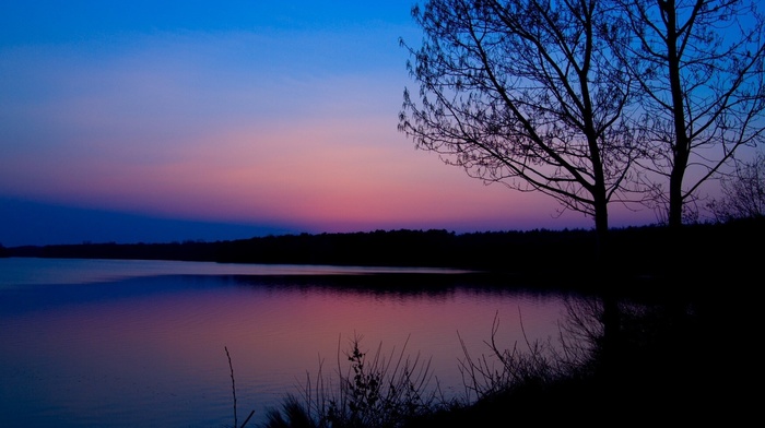 forest, blue, dawn, nature, pink, river