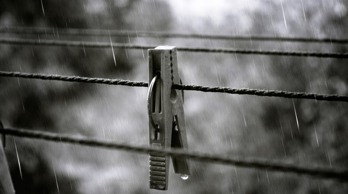 rain, macro, splash, autumn