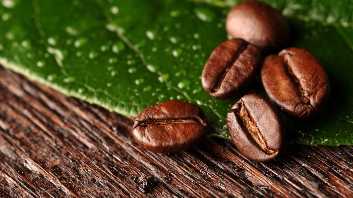 leaf, macro, coffee