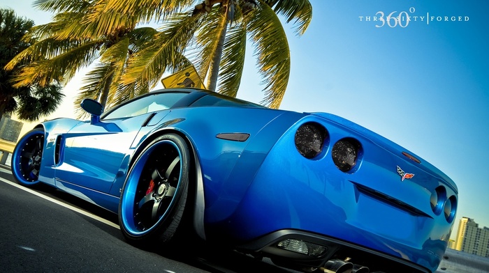 car, palm, cars, blue