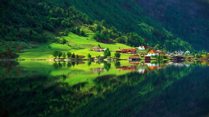 summer, nature, village, greenery, forest, lake, houses