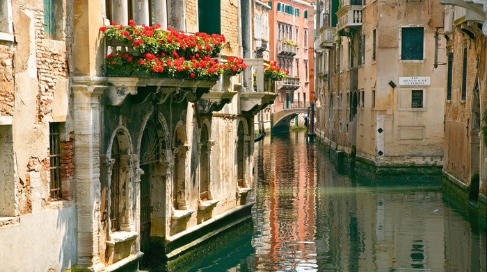 cities, flowers, street, water, Italy