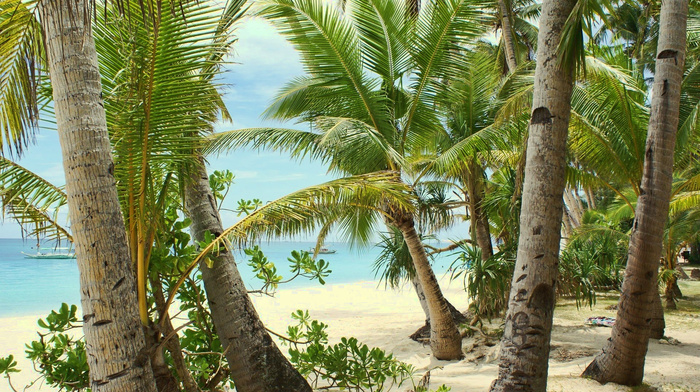 sea, sand, rest, palm trees, beach, nature, summer