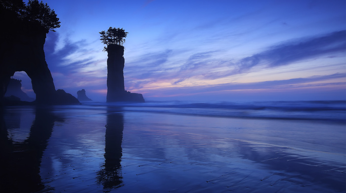 trees, nature, rocks, Japan, coast