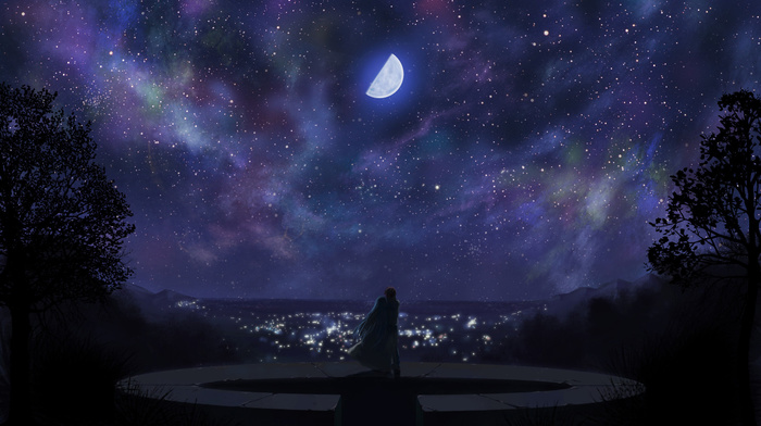 night, city, moon, anime, lights, love, stars