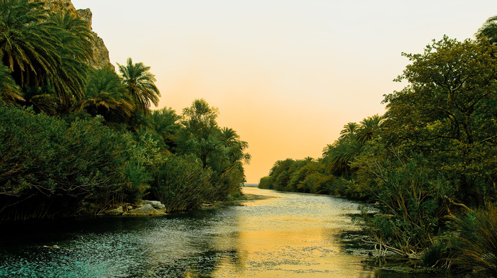 nature, river, Greece, palm trees