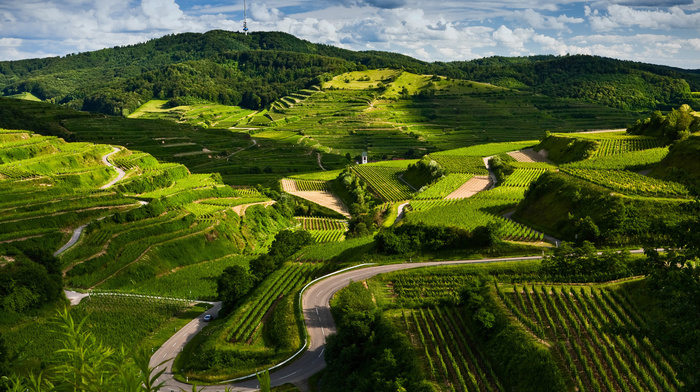 road, landscape, view, nature