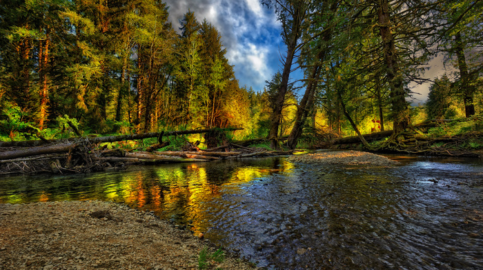 nature, landscape, autumn