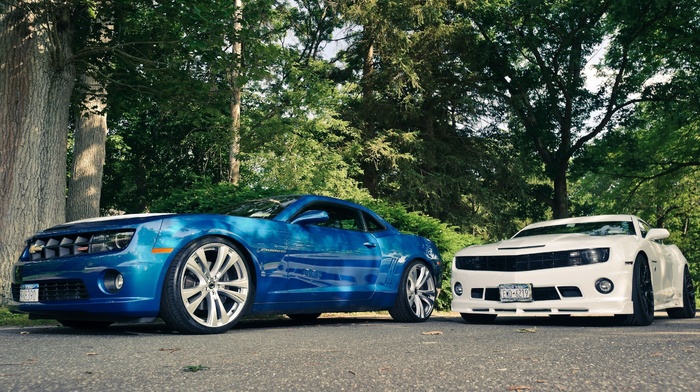 white, cars, blue