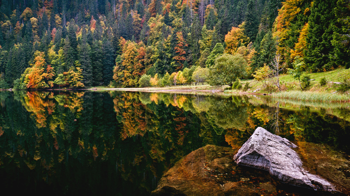 lake, forest, autumn, stone