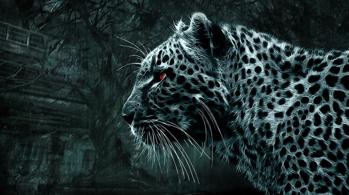 animals