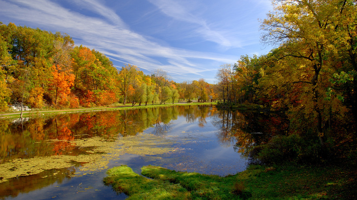 autumn, pond, nature, park