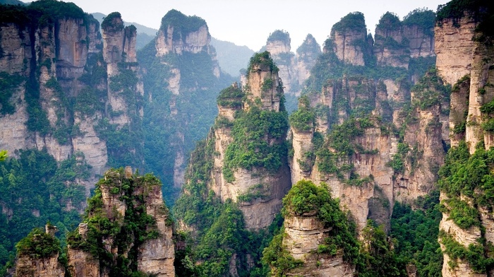 China, forest, rocks, nature, mountain, trees