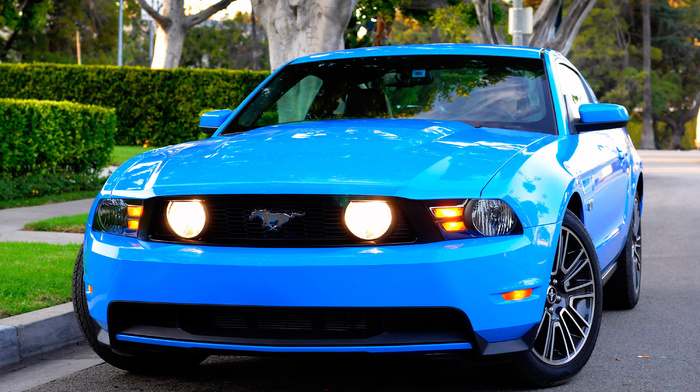 cars, mustang