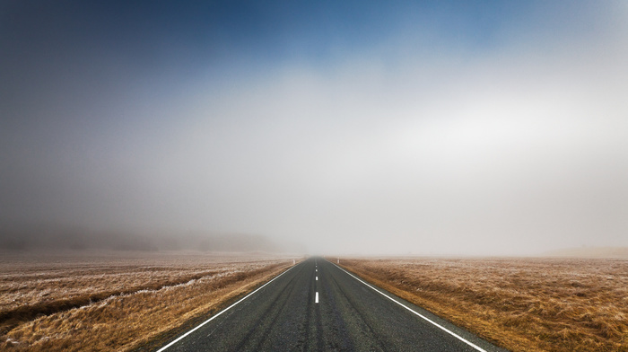 nature, morning, road, landscape, field, track