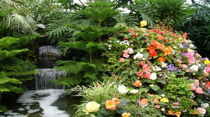 nature, flowers, waterfall, plants