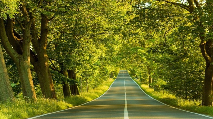 road, spring