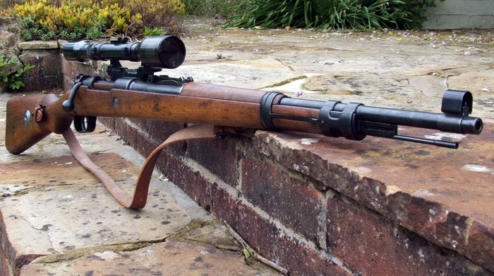 gun