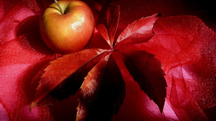 leaf, fruit, red, still life, delicious