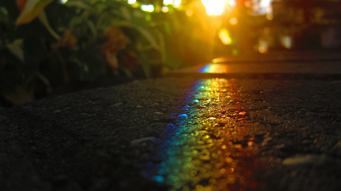 macro, Sun, rainbow, light