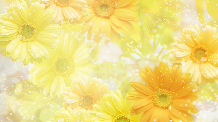 background, yellow, flowers