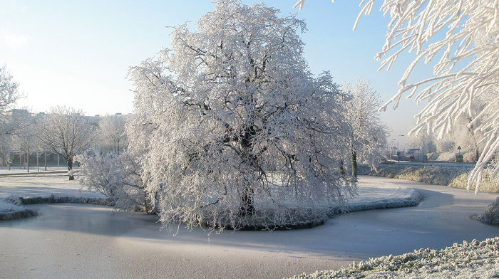 park, snow, nature, trees, river, winter