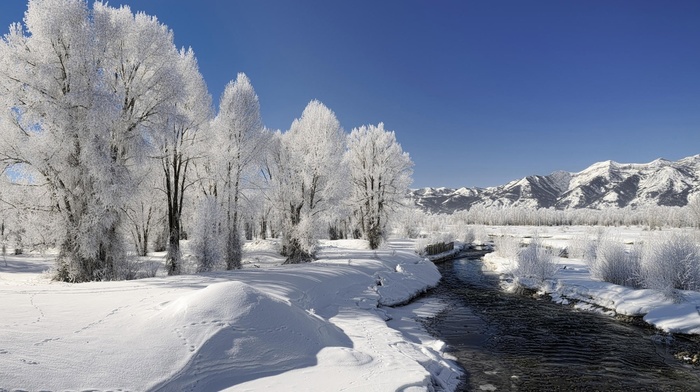 nature, river, snow, trees, winter