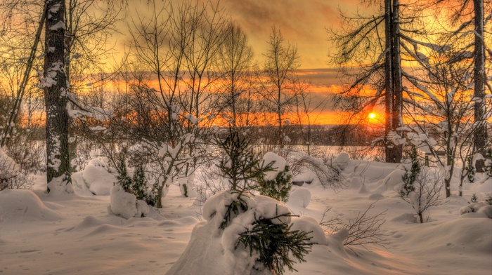 clouds, nature, sky, Sun, sunset, winter