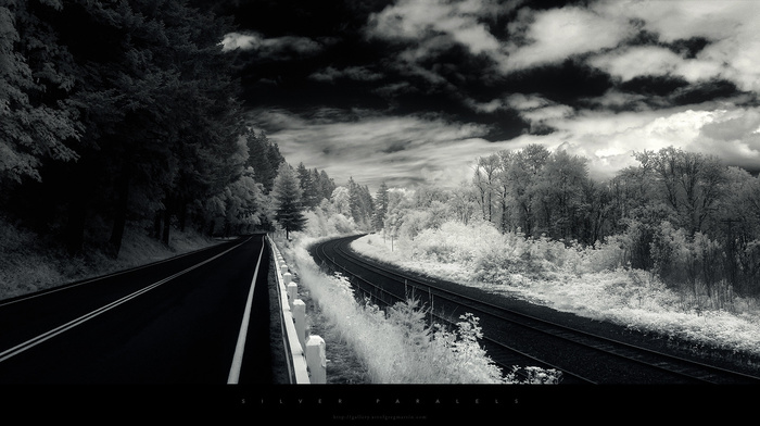 nature, road