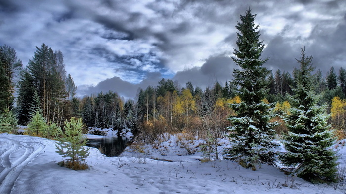 snow, river, trees, winter, forest