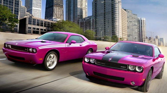 road, cars, pink, Dodge