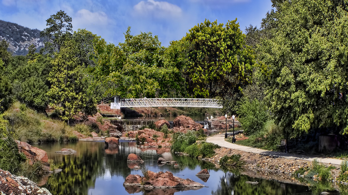 nature, summer, bridge