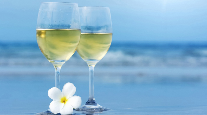 sea, wine, stemware, summer