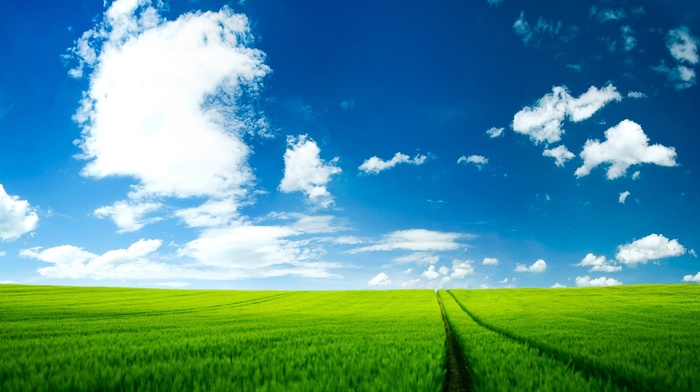 clouds, field, grass, nature