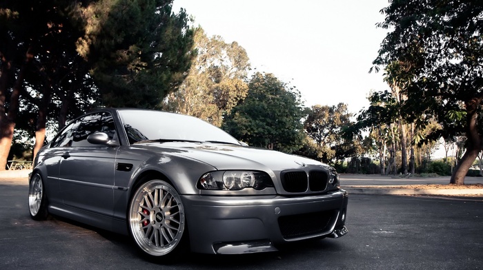 trees, road, bmw, cars