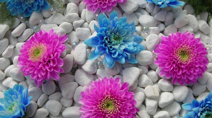 stone, flowers
