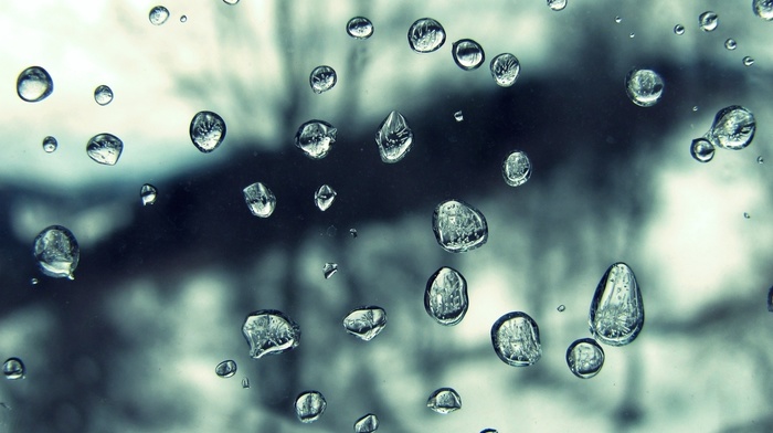 rain, water, drops, macro