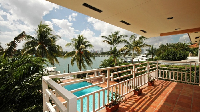 resort, interior, palm trees, rest, swimming pool, nature