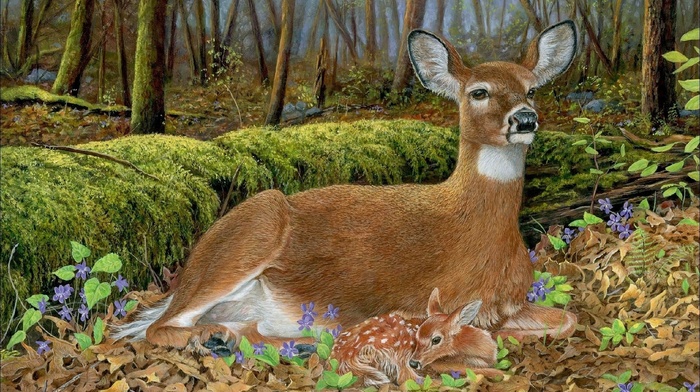 wallpaper, forest, deer, animals